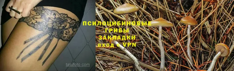 Галлюциногенные грибы GOLDEN TEACHER  Красноярск 